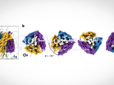 الکتروموتور نانویی با اوریگامی DNA